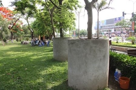 Hai cây sưa nằm gần với phòng bảo vệ của Vườn hoa, chếch với siêu thị bên kia đường của Thành phố Phủ Lý.